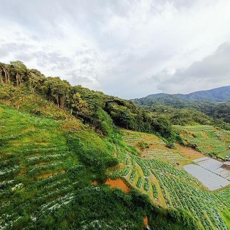 Dream 2 Daire Cameron Highlands Dış mekan fotoğraf