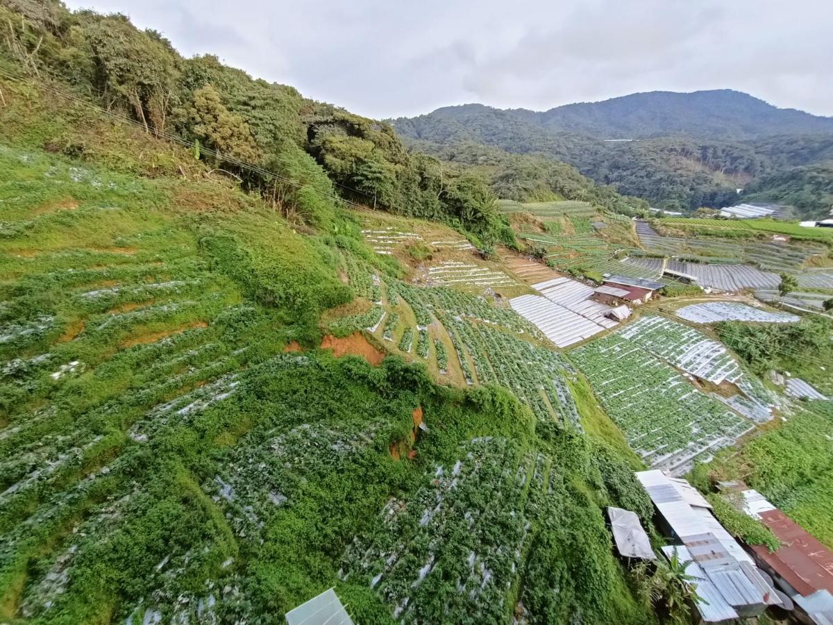 Dream 2 Daire Cameron Highlands Dış mekan fotoğraf